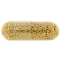 Terranova Easy Iron Complex